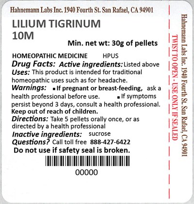 Lilium Tigrinum 10m 30g (Lilium Tigrinum 10m 30g)